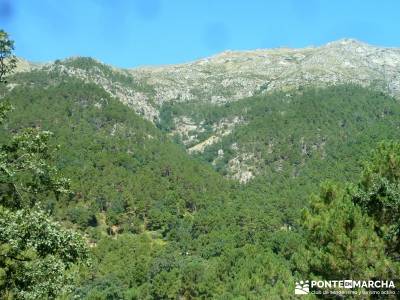 Pinares Angostura, Piedralaves; montañismo madrid;senderismo guadarrama;viajes fines de semana